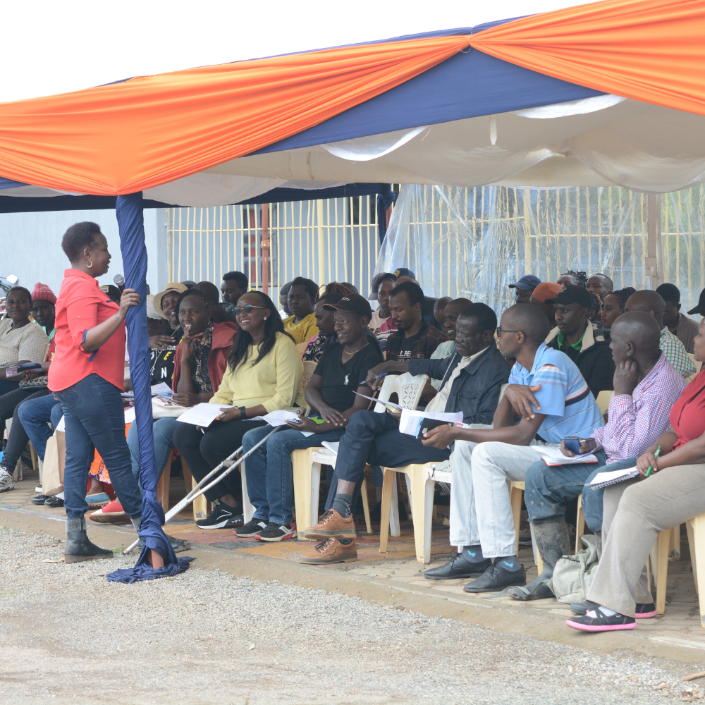 Sustainable Cooking — Eco-Jikos Training